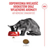 Royal Canin Exigent Fussy 4kg Karma Sucha Dla Kotów Dorosłych Wybrednych