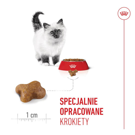 Royal Canin FHN Kitten 4kg Karma Sucha Dla Kociąt Od 4 Do 12 Miesiąca Życia