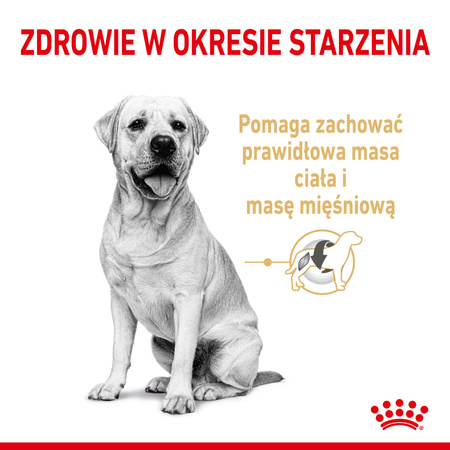 Royal Canin BHN Labrador Retriever 5+ 3kg Karma Sucha Dla Dojrzałych Psów Rasy Labrador Retriever Powyżej 5 Roku Życia