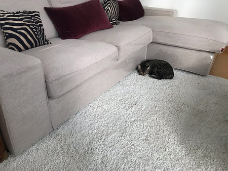 Folia ochronna przeciw drapaniu dla kota Cat scratch protect 2 szt. XL 30x45cm