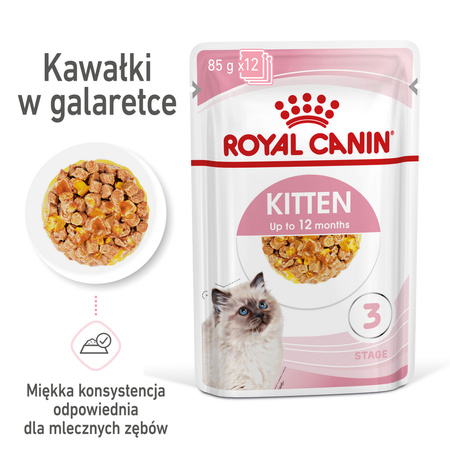 Royal Canin FHN Kitten Instinctive 48x85g Karma Mokra W Galaretce Dla Kociąt Do 12 Miesiąca Życia