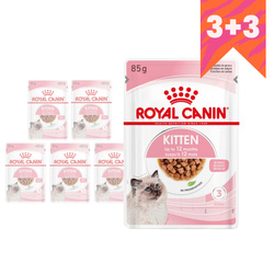 Royal Canin FHN Kitten Instinctive 6x85g Karma Mokra W Sosie Dla Kociąt Do 12 Miesiąca Życia 3+3 GRATIS