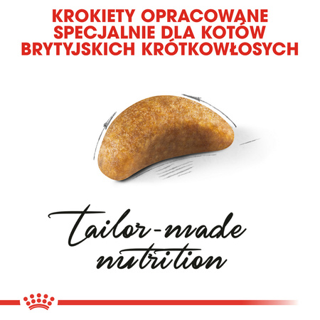 Royal Canin FBN British Shorthair Kitten 10kg Karma Sucha Dla Kociąt Do 12 Miesiąca Rasy Brytyjski Krótkowłosy