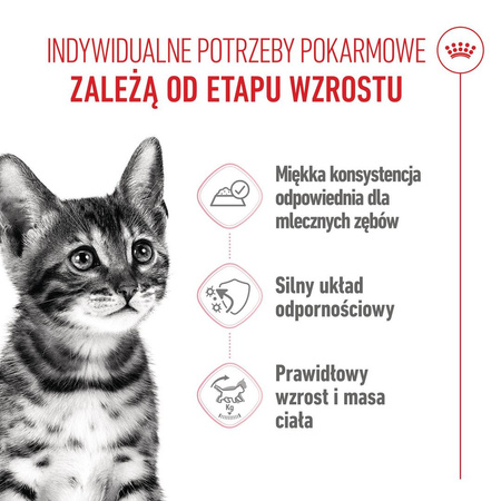 Royal Canin Kitten Sterilised Karma Mokra W Sosie Dla Kociąt Do 12 Miesiąca Życia 85g