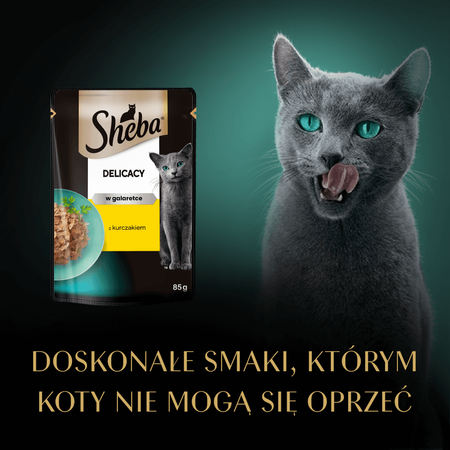 Sheba Delicacy Saszetka 6x85g Mokra Karma Pełnoporcjowa Dla Kota Kawałki z Kurczakiem w Galaretce