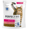 Perfect Fit Active 1+ z Wołowiną 8x750g Sucha Karma Dla Aktywnych Dorosłych Kotów