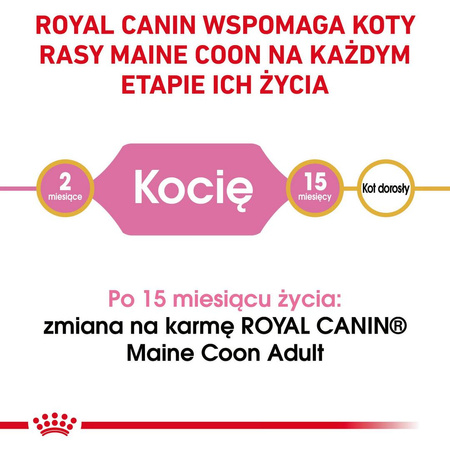 Royal Canin FBN Maine Coon Kitten 400g Karma Sucha Dla Kociąt Do 15 Miesiąca Rasy Maine Coon