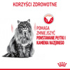 Royal Canin Dental 400g Karma Sucha Dla Kotów Dorosłych Redukująca Odkładanie Kamienia Nazębnego