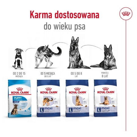 Royal Canin Adult Maxi BF 15kg Zbilansowana Sucha Karma Dla Psów Dużych Ras Do 5 Roku Życia