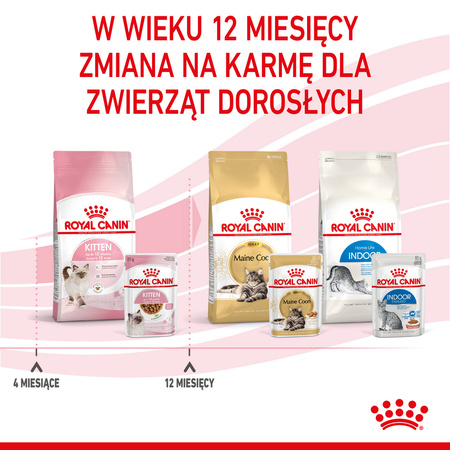 Royal Canin FHN Kitten Instinctive 48x85g Karma Mokra W Sosie Dla Kociąt Do 12 Miesiąca Życia