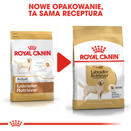 Royal Canin BHN Labrador Retriever Adult 12kg Karma Sucha Dla Psów Dorosłych Rasy Labrador Retriever