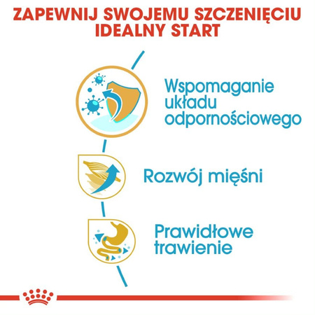 Royal Canin Puppy Boxer Sucha Karma Dla Szczeniąt 12kg + Mokra W Sosie 12x85g