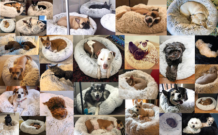 Legowisko Dla Psa I Kota Pluszowe 3XL 110cm Ciepłe Białe