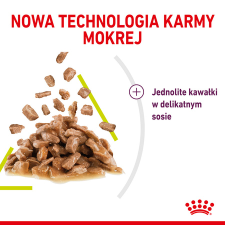 Royal Canin FHN Sensory Smell 12x85g Karma Mokra Kawałki W Sosie Dla Kotów Dorosłych Pobudzająca Wrażenia Węchowe