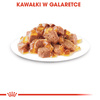 Royal Canin Instinctive FHN Karma Mokra W Galaretce Dla Kotów Dorosłych Wybrednych 24x85g