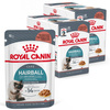 Royal Canin Hairball Care 24x85g Mokra Karma Dla Kotów Dorosłych w Sosie Eliminacja Kul Włosowych