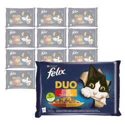 Purina Felix Fantastic Duo Mokra Karma Dla Kota 48x85g Wiejskie Smaki W Galaretce