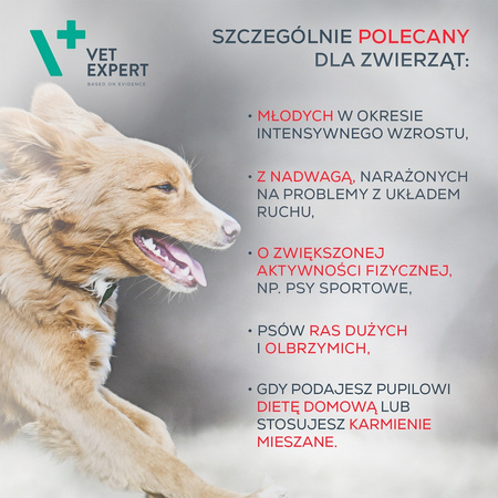 Suplementy dla psa i kota VetExpert Joints & Mobility STAWY I MOBILNOŚĆ 30 kapsułek