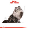 Royal Canin FBN Persian Adult 10kg Karma Sucha Dla Kotów Dorosłych Rasy Pers