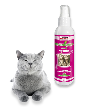 Super Benek Kocimiętka Catnip 125ml Preparat Zachęcający dla Kotów