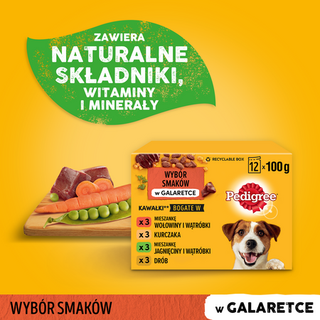 Pedigree Saszetka 48x100g Mokra Karma W Galaretce Dla Psa Wołowina, Kurczak, Jagnięcina, Drób
