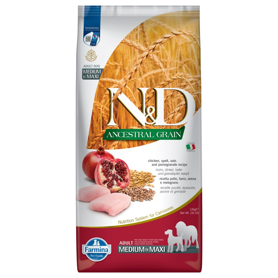 Farmina N&D Dog Ancestral Grain Adult Medium&Maxi Sucha Karma Dla Dorosłych Psów Średnich I Dużych Ras Z Kurczakiem