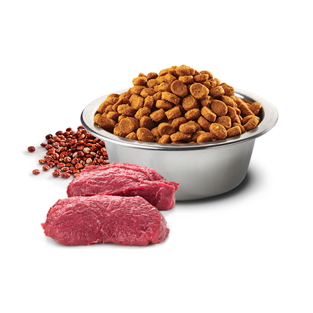 Farmina N&D Quinoa Dog Skin & Coat 2,5kg Sucha Karma Dla Dorosłych Psów Małych Ras Z Jeleniem Kokosem I Kurkumą