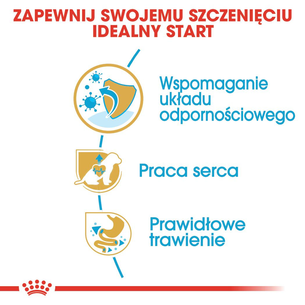 Karma Sucha Dla Szczeniąt Do 10 Miesiąca Rasy Cavalier King Charles Spaniel