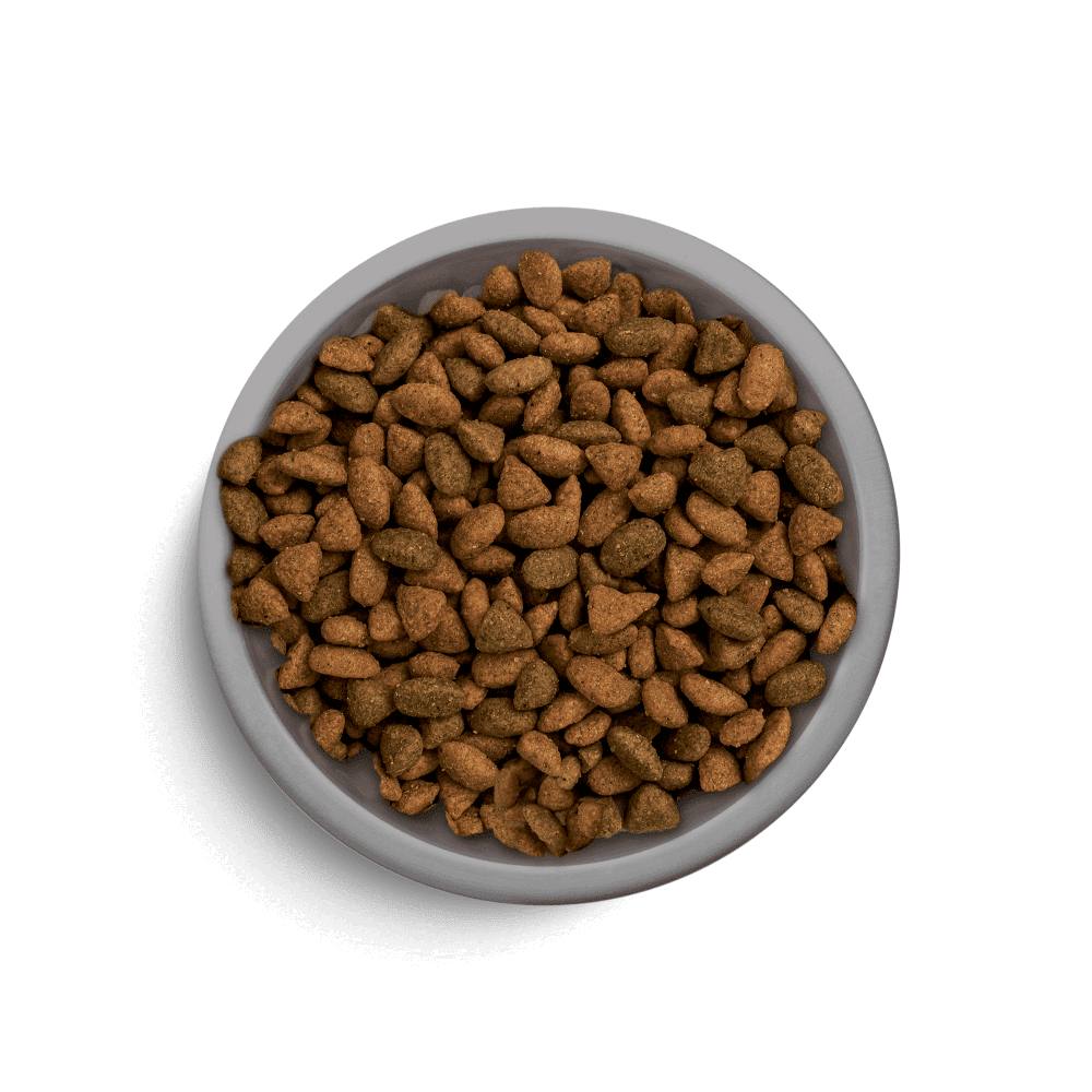 Sucha Karma Dla Kotów Dorosłych Z Wołowiną