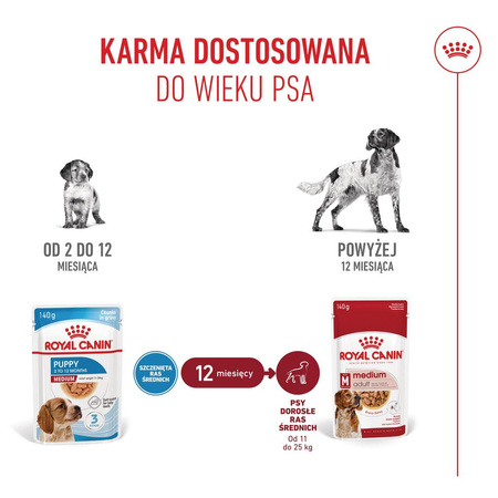 Royal Canin Medium Puppy 10x140g Karma Mokra W Sosie Dla Szczeniąt Ras Średnich Do 12 Miesiąca Życia