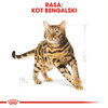 Royal Canin FBN Bengal Adult 2kg Karma Sucha Dla Kotów Dorosłych Rasy Bengalskiej Powyżej 12 Miesiąca Życia