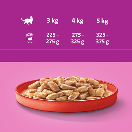 Whiskas Adult Puszka 400g Mokra Karma Dla Dorosłych Kotów Z Wołowiną W Sosie