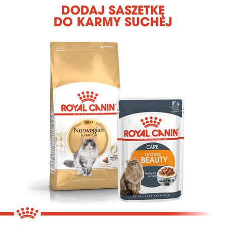 Royal Canin FBN Norvegian Forest Cat Adult 2kg Karma Sucha Dla Kotów Dorosłych Rasy Norweski Leśny