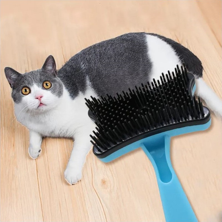 Samoczyszcząca Szczotka Dla Psa Kota Niebieska