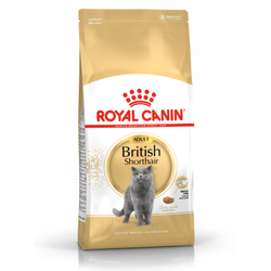 Royal Canin FBN British Shorthair 10kg Karma Sucha Dla Kotów Dorosłych Rasy Brytyjski Krótkowłosy