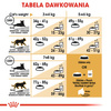 ROYAL CANIN British Shorthair 2x4kg karma sucha dla kotów dorosłych rasy brytyjski krótkowłosy