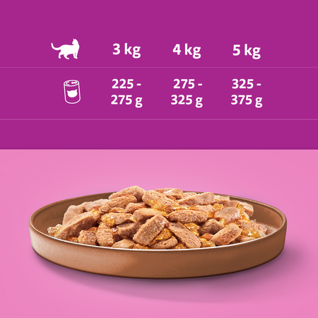 WHISKAS Adult 4 Smaki 48x400g Mokra Karma Dla Dorosłych Kotów (Kurczak Wołowina Tuńczyk Kaczka)