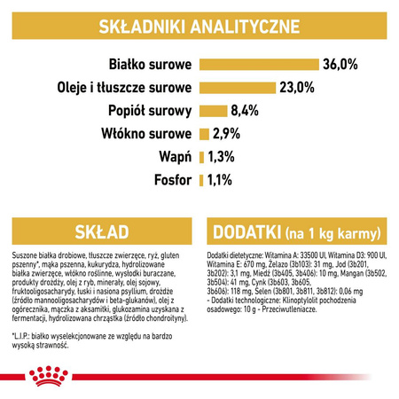 Royal Canin FBN Maine Coon Kitten 2kg Karma Sucha Dla Kociąt Do 15 Miesiąca Rasy Maine Coon