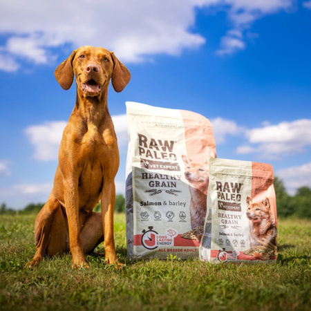 Raw Paleo Healthy Grain Adult Salmon Barley 2kg Sucha Karma z Łososiem Dla Psów Dorosłych