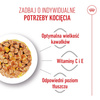 Royal Canin FHN Kitten Sterilised w Sosie i Galaretce 6x85g Karma Mokra Dla Kociąt Sterylizowanych Do 12 Miesiąca Życia