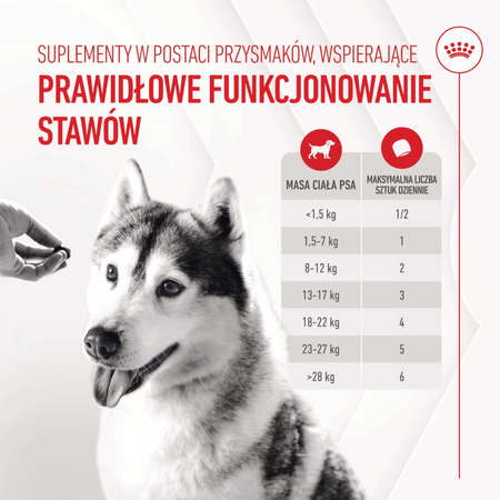 Royal Canin Supplements Dog Joint & Ageing 240g Suplementy Dla Psów Dorosłych W Postaci Przysmaków Wspierające Prawidłowe Funkcjonowanie Stawów