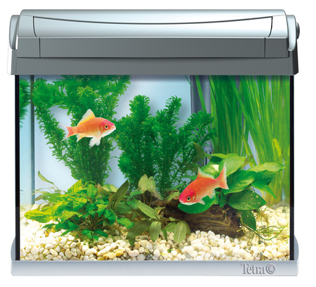 Tetra AquaArt Discover Line Aquarium Complete Set 20L 20 L, anthracite-Zestaw akwariowy srebrny