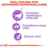 Royal Canin Sterilised +7 Karma Sucha Dla Kotów Dorosłych Sterylizowanych 10kg Od 7 Do 12 Roku Życia