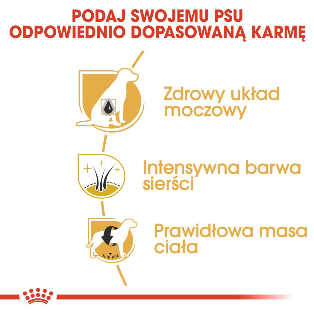 Karma Sucha Dla Psów Dorosłych Rasy Schnauzer Miniaturowy