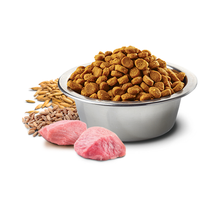 Farmina N&D Cat Ancestral Grain Chicken & Pomegranate Adult 5kg Sucha Karma Dla Kota Kurczak z Granatem