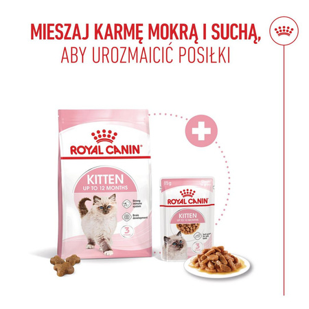 Royal Canin FHN Kitten 10kg Karma Sucha Dla Kociąt Od 4 Do 12 Miesiąca Życia