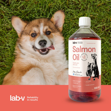 LAB-V Olej Z Łososia 100% Dla Psa I Kota 1L Na Skórę Sierść I Alergie