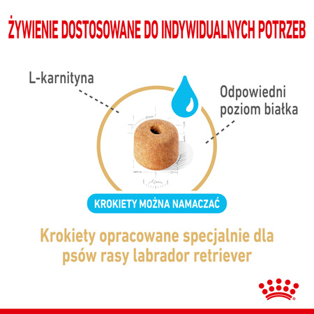 Royal Canin BHN Labrador Retriever 5+ 3kg Karma Sucha Dla Dojrzałych Psów Rasy Labrador Retriever Powyżej 5 Roku Życia