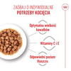 Royal Canin Kitten Sterilised Karma Mokra W Sosie Dla Kociąt Do 12 Miesiąca Życia 85g