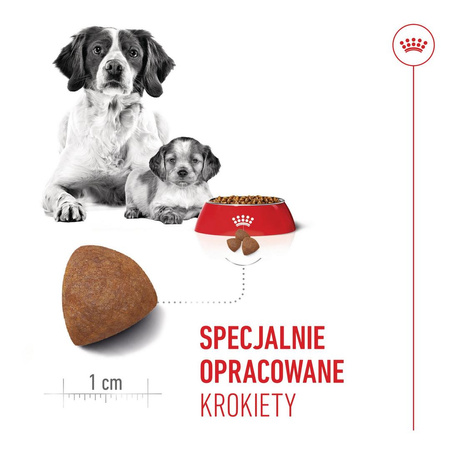 ROYAL CANIN Medium Starter Mother&Babydog 4kg Karma Sucha Dla Suk W Ciąży I Okresie Laktacji Oraz Szczeniąt Ras Średnich